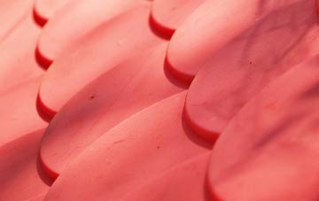 Bramshott plastic roof costs