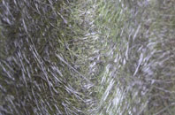 Bramshott fibreglass roof work